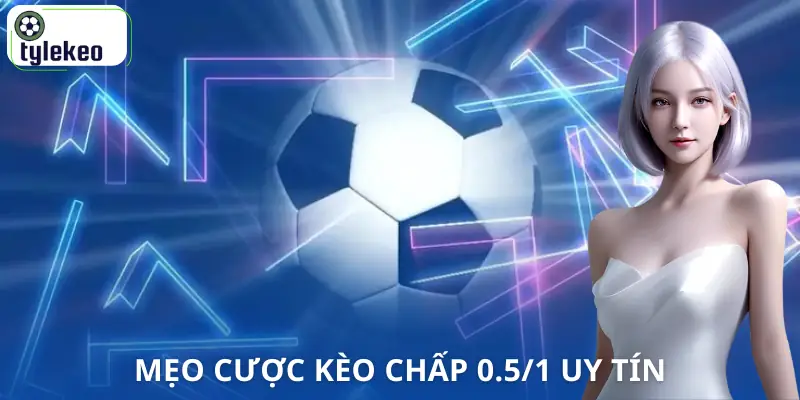 cuoc-chap-0-5-1-la-gi-meo-choi
