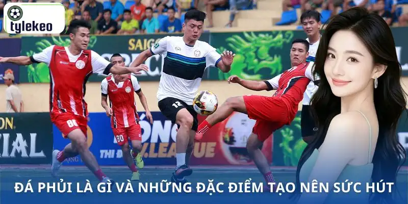 da-phui-la-gi-dac-diem-noi-bat