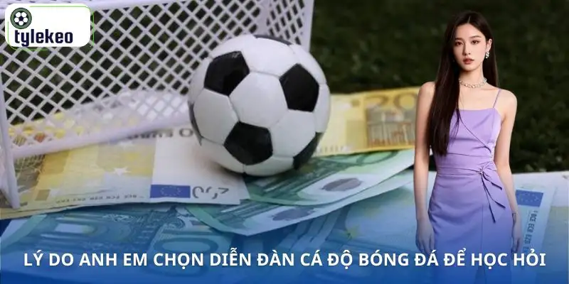 dien-dan-ca-do-bong-da-ly-do