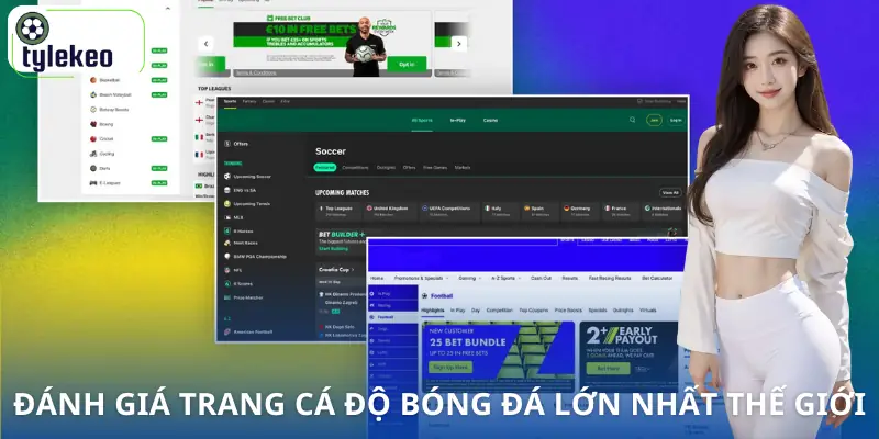 trang-ca-do-bong-da-lon-nhat-the-gioi-danh-gia