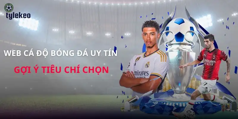 web-ca-do-bong-da-uy-tin